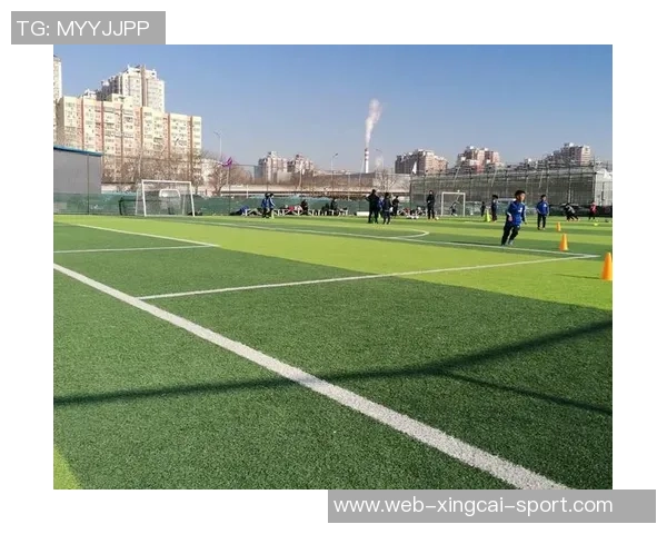 足球解谜：揭开绿茵场上的神秘面纱与战术奥秘